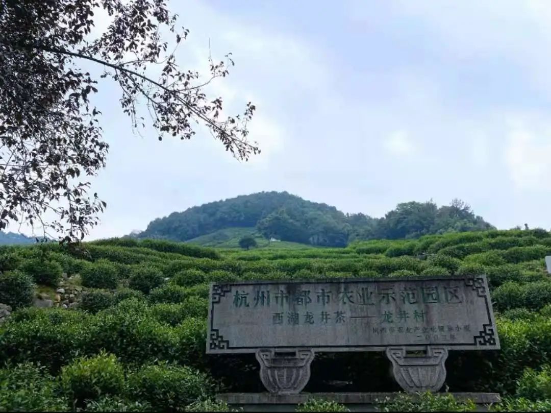 乐竞体育-乐竞体育·(中国)官方网站|西北碳化硅|绿碳化硅|黑碳化硅|碳化硅微粉|碳化硅颗粒|炼钢用碳化硅 乐竞体育-乐竞体育·(中国)官方网站|西北碳化硅|绿碳化硅|黑碳化硅|碳化硅微粉|碳化硅颗粒|炼钢用碳化硅