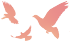 乐竞体育-乐竞体育·(中国)官方网站|西北碳化硅|绿碳化硅|黑碳化硅|碳化硅微粉|碳化硅颗粒|炼钢用碳化硅 乐竞体育-乐竞体育·(中国)官方网站|西北碳化硅|绿碳化硅|黑碳化硅|碳化硅微粉|碳化硅颗粒|炼钢用碳化硅