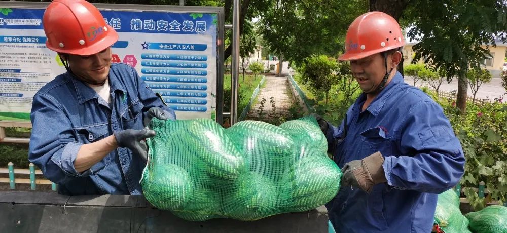 乐竞体育-乐竞体育·(中国)官方网站|西北碳化硅|绿碳化硅|黑碳化硅|碳化硅微粉|碳化硅颗粒|炼钢用碳化硅 乐竞体育-乐竞体育·(中国)官方网站|西北碳化硅|绿碳化硅|黑碳化硅|碳化硅微粉|碳化硅颗粒|炼钢用碳化硅