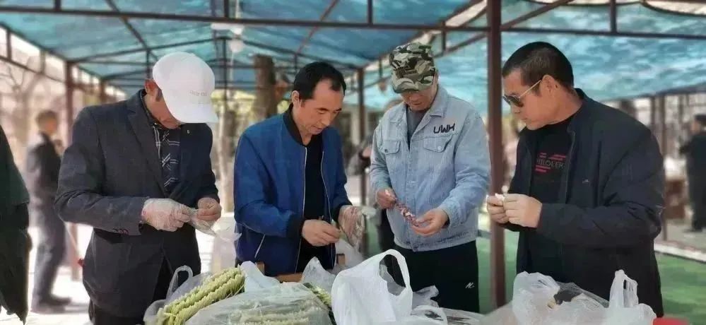 乐竞体育-乐竞体育·(中国)官方网站|西北碳化硅|绿碳化硅|黑碳化硅|碳化硅微粉|碳化硅颗粒|炼钢用碳化硅